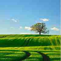 爬​虫‍ 源​码​